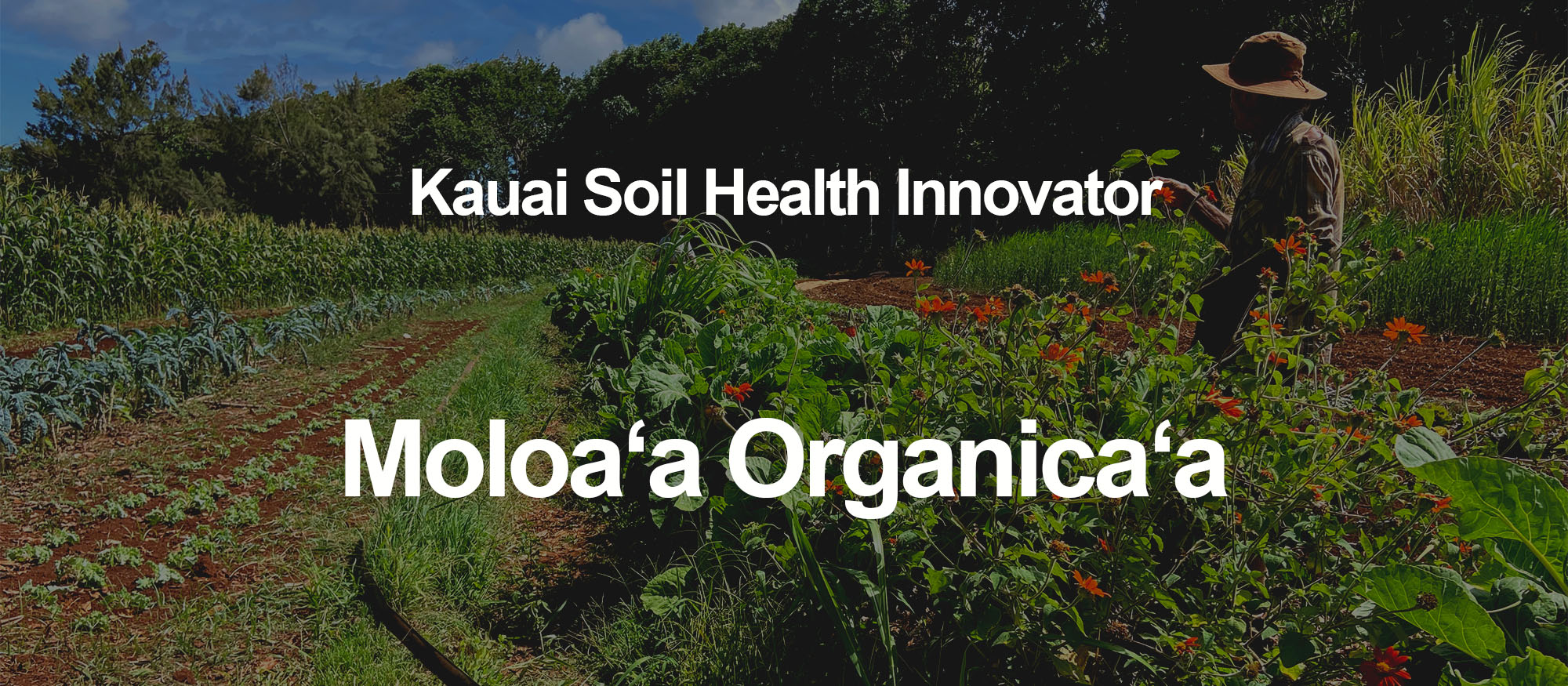 Soil Health Innovator Cover 2 Moloaa Organicaa